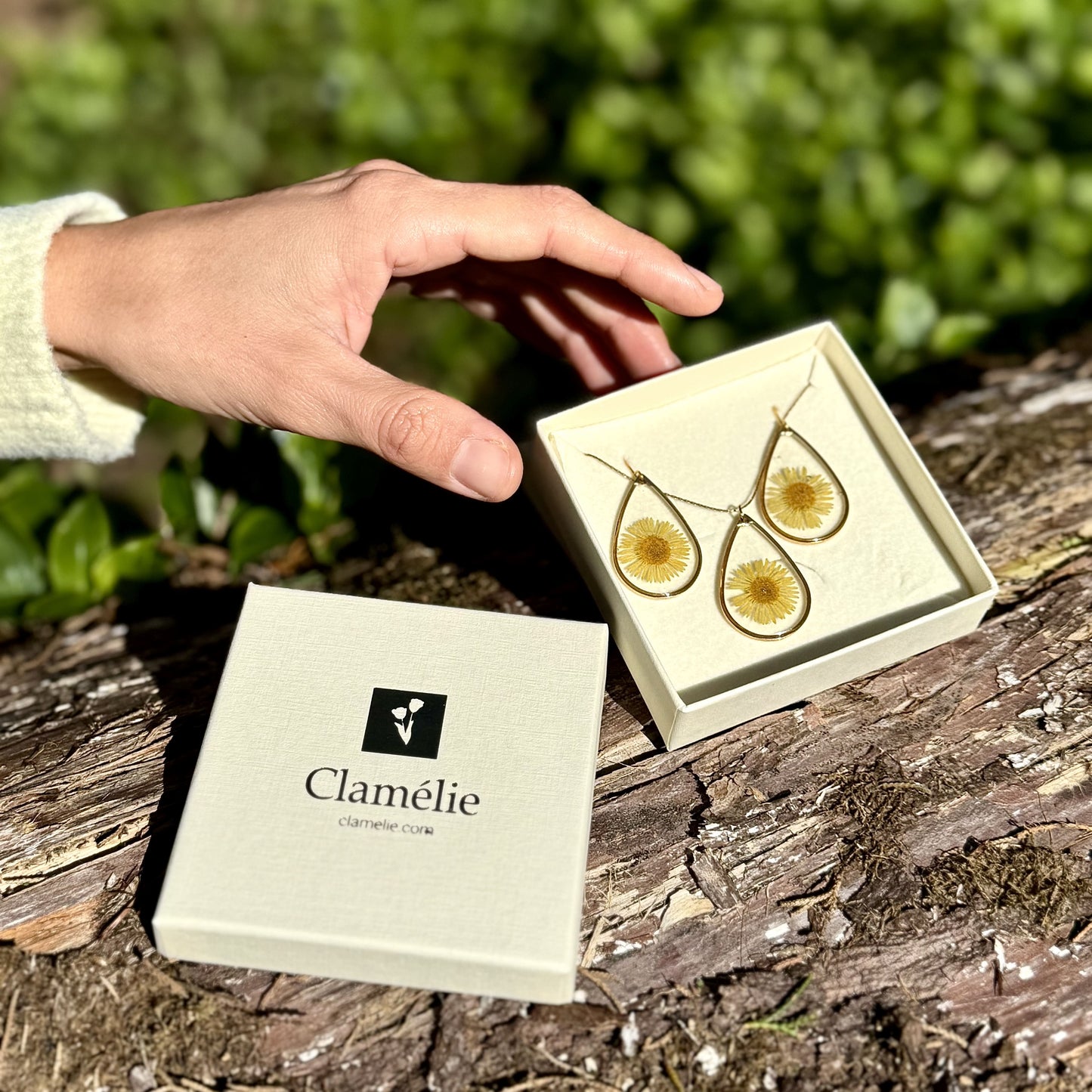 Margacinha Conjunto | Ouro | Colar e Brincos